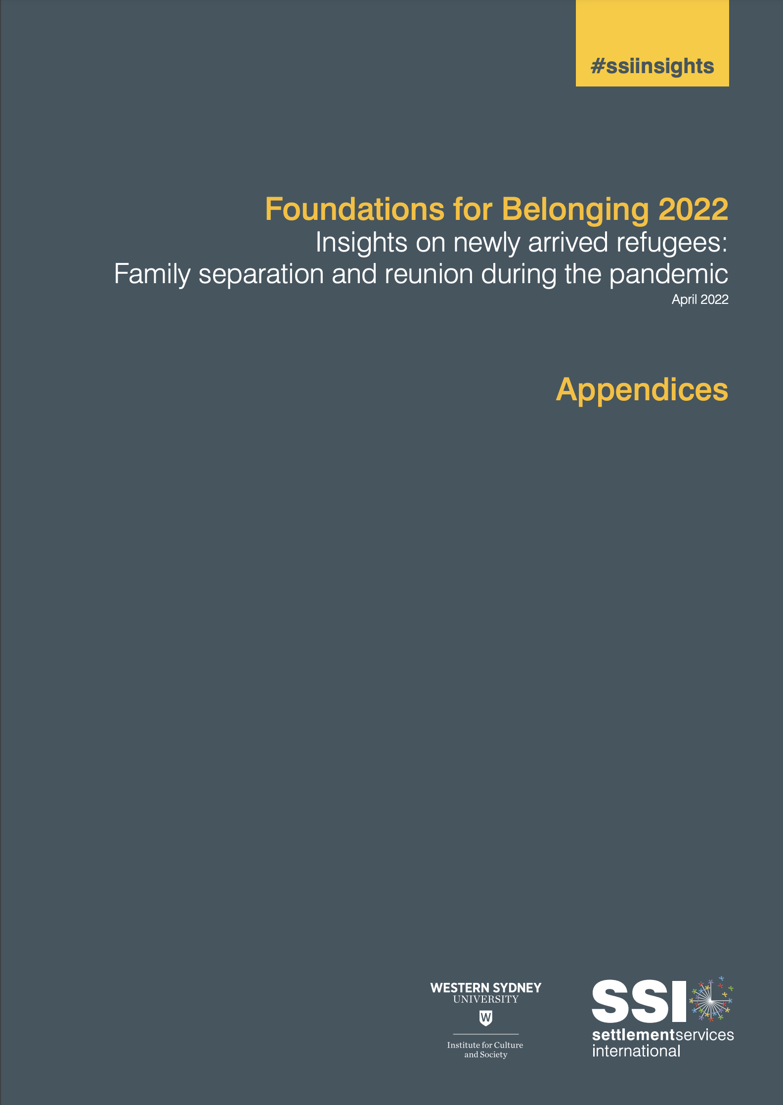 Foundations for Belonging 2022 Appendices