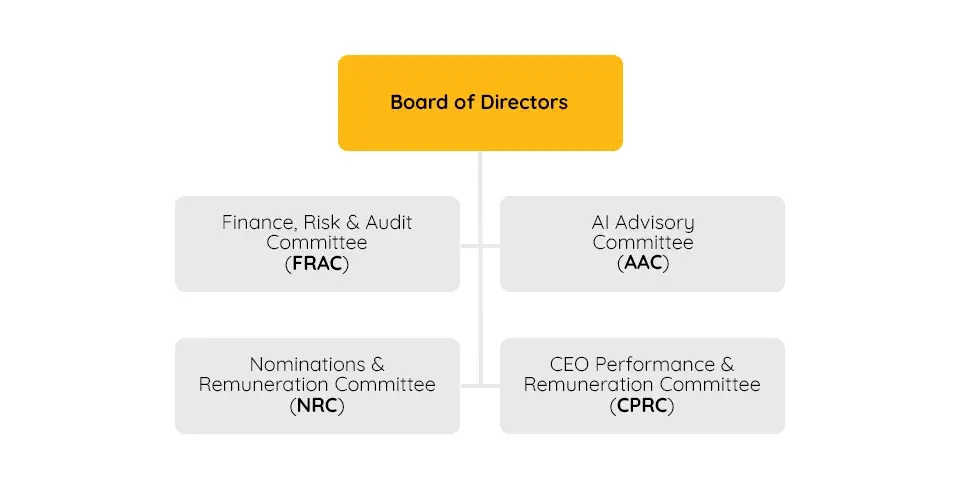 SSI Group governance structure